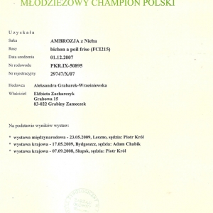 dokumenty-ambrozja