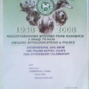 dyplom_ambozja01