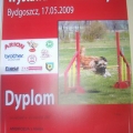 dyplom_ambozja04