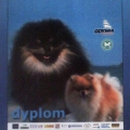 dyplom_ambozja06