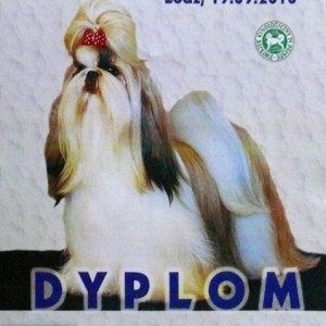 dyplom1