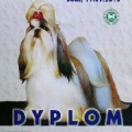 dyplom1